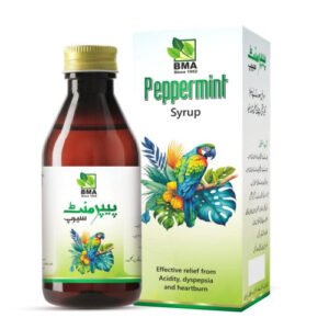 Papermint Syrup